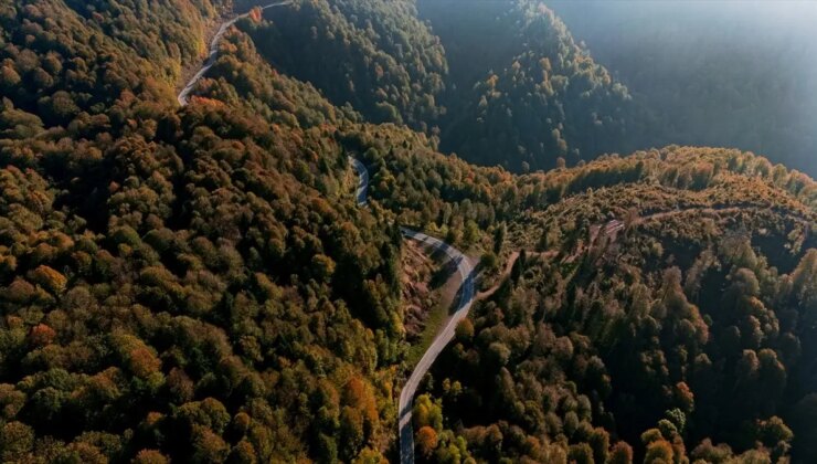 Çam Dağı’nda Sonbahar Renkleri